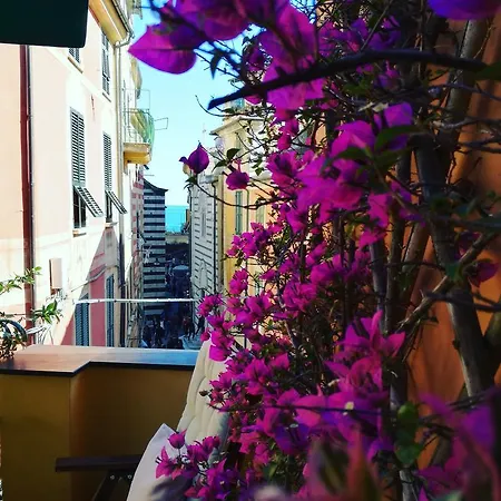 L'antica Terrazza 4* Монтероссо-аль-Маре